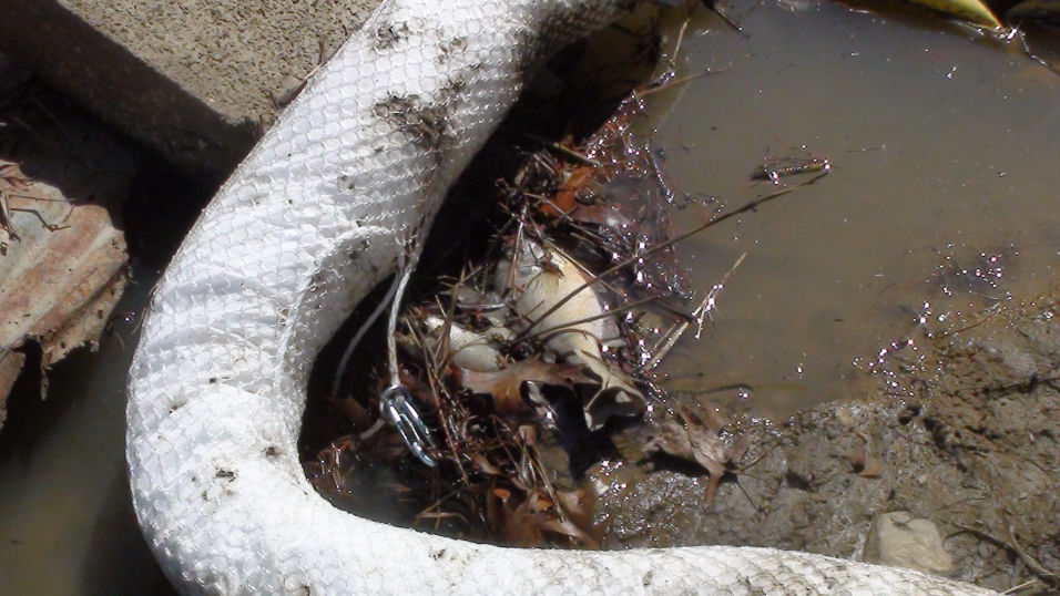 KDA Injection well disaster Vienna Ohio pic