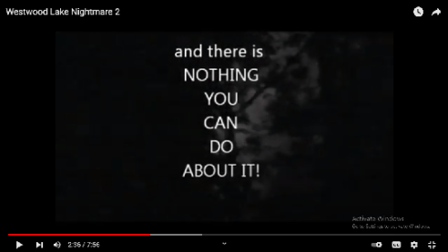 Nitrogen Injection at wellhead... RELEASE! pic